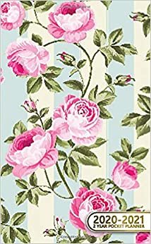 indir 2020-2021 2 Year Pocket Planner: Pretty Striped Two-Year Monthly Pocket Planner and Organizer | 2 Year (24 Months) Agenda with Phone Book, Password Log &amp; Notebook | Cute Rose &amp; Floral Pattern