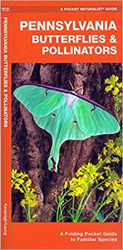 Pennsylvania Butterflies & Pollinators: A Folding Pocket Guide to Familiar Species (Wildlife and Nature Identification)