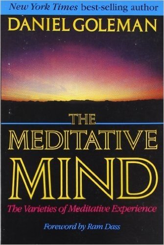 The Meditative Mind baixar