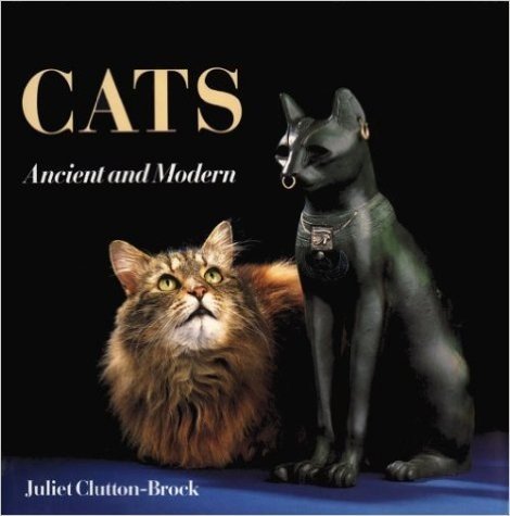Cats: Ancient and Modern baixar