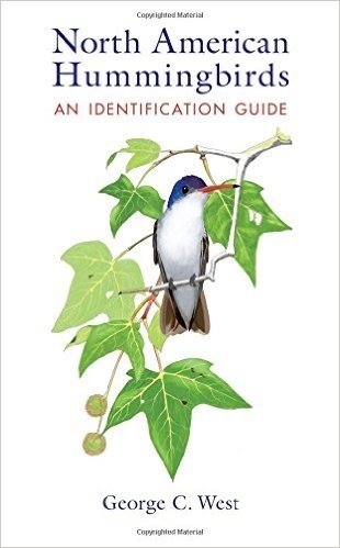North American Hummingbirds: An Identification Guide