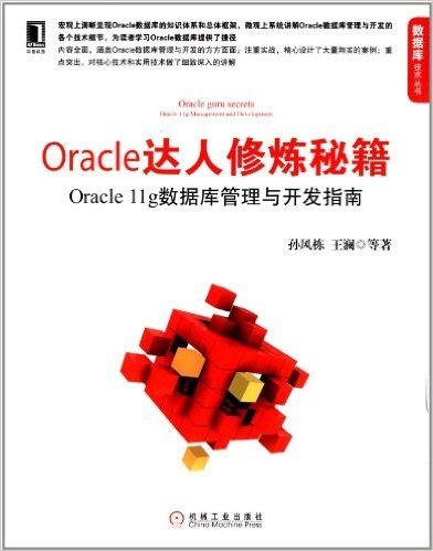 Oracle达人修炼秘籍:Oracle 11g数据库管理与开发指南