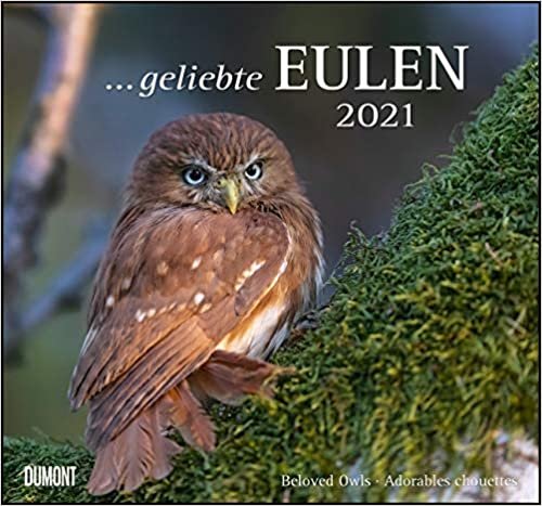 Geliebte Eulen 2021 - DuMont Wandkalender