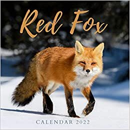 indir Red Fox Calendar 2022: Great 18-month Mini Grid Calendar 2022 from July 2021 to December 2022 for all fans!!!