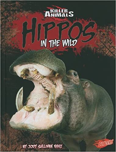 indir Hippos: In the Wild (Blazers)