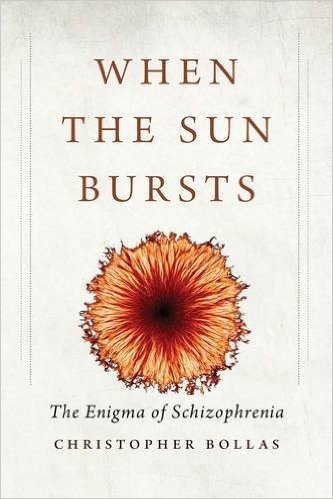 When the Sun Bursts: The Enigma of Schizophrenia baixar
