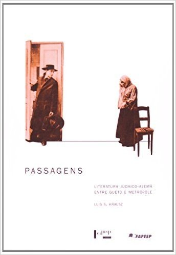 Passagens - Literatura Judaico-Alema Entre Geto E Metropole