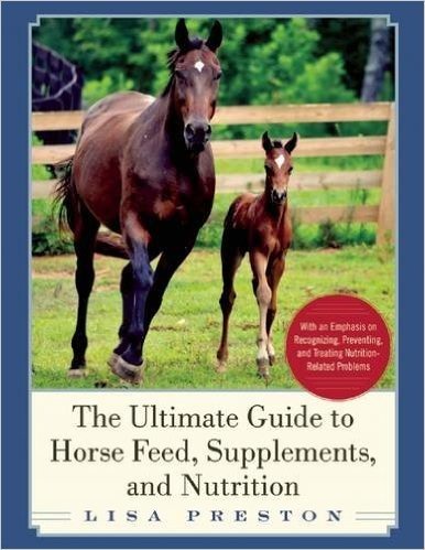 The Ultimate Guide to Horse Feed, Supplements, and Nutrition