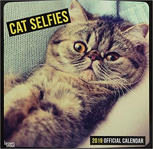 Cat Selfies - Katzen-Selfies 2019: Original BrownTrout-Kalender - Slimeline