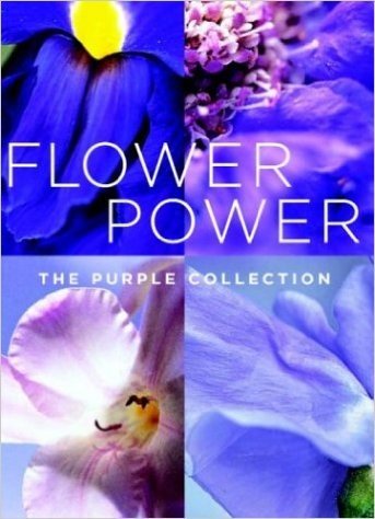 Flower Power: The Purple Collection Small Note Cards in a Two-Piece Box [With Keepsake Box]