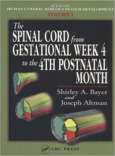 The Spinal Cord from Gestational Week 4 to the 4th Postnatal Month: v. I (Atlas of Human Central Nervous System Development)