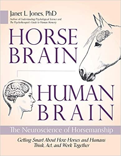 indir Horse Brain, Human Brain: The Neuroscience of Horsemanship