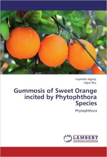 Gummosis of Sweet Orange Incited by Phytophthora Species