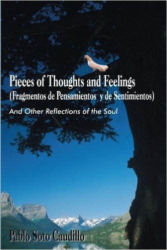 Pieces of Thoughts and Feelings (Fragmentos de Pensamientos y de Sentimientos): And Other Reflections of the Soul