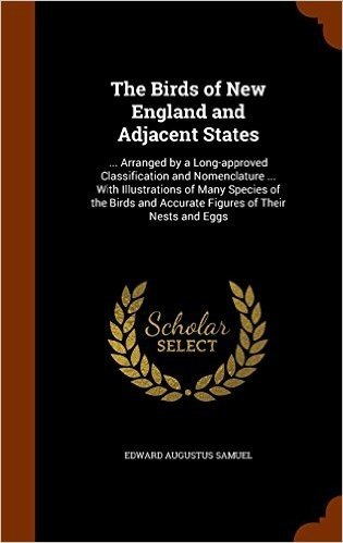 The Birds of New England and Adjacent States: ... Arranged by a Long-Approved Classification and Nomenclature ... with Illustrations of Many Species ... and Accurate Figures of Their Nests and Eggs