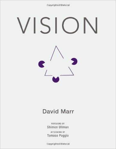 Vision: A Computational Investigation Into the Human Representation and Processing of Visual Information baixar