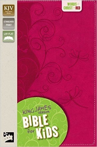 Kids Bible-KJV