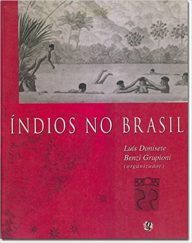 Índios no Brasil baixar
