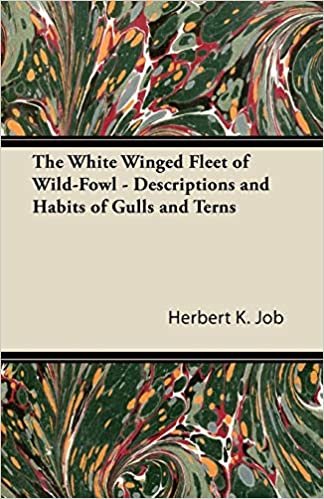 indir The White Winged Fleet of Wild-Fowl - Descriptions and Habits of Gulls and Terns