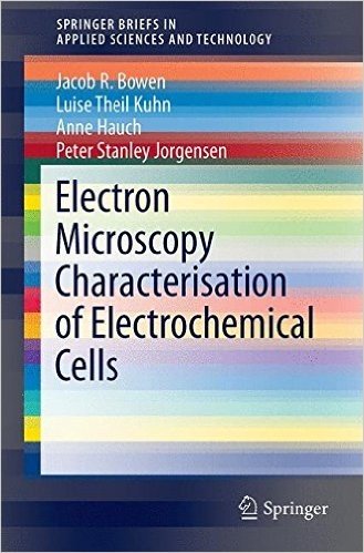 Electron Microscopy Characterisation of Electrochemical Cells