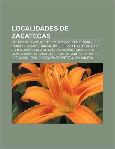 Localidades de Zacatecas: Zacatecas, Ojocaliente Zacatecas, Tlaltenango de Sanchez Roman, Guadalupe, Fresnillo de Gonzalez Echeverria