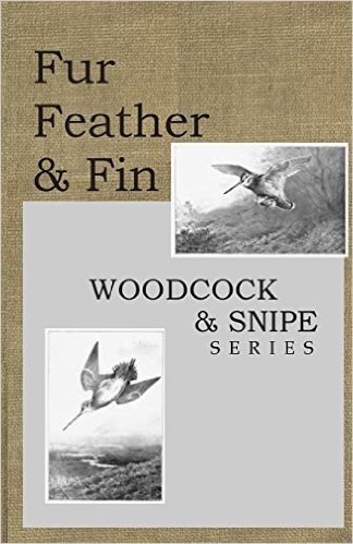 Fur Feather and Fin: Snipe & Woodcock
