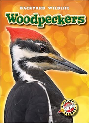 indir Woodpeckers (Blastoff! Readers: Backyard Wildlife: Level 1 (Library))