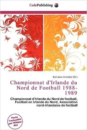 Championnat D'Irlande Du Nord de Football 1988-1989