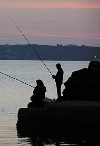 Pesca: pesca d'altura. Tutto quello che c'è da sapere (Italian Edition) baixar