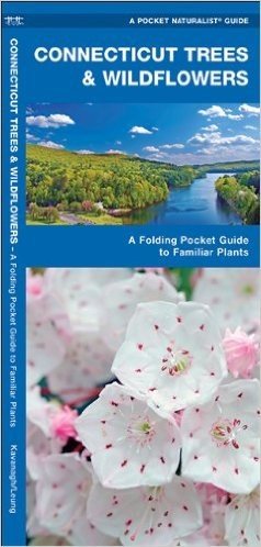 Connecticut Trees & Wildflowers: An Introduction to Familiar Species