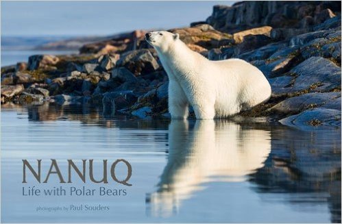 Nanuq: Life with Polar Bears baixar