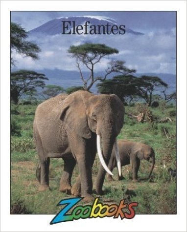 Elefantes / Elephants