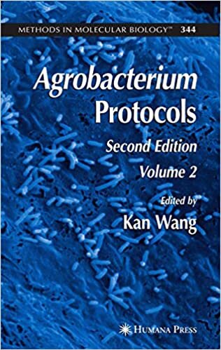 indir Agrobacterium Protocols: Volume II: 2 (Methods in Molecular Biology)