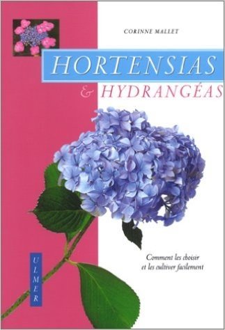 Hortensias et hydrangéas : Comment les choisir et leur cultiver facilement