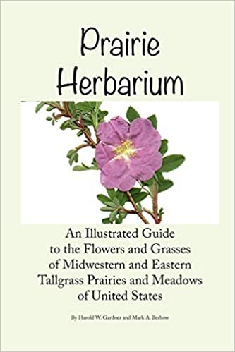 indir Prairie Herbarium