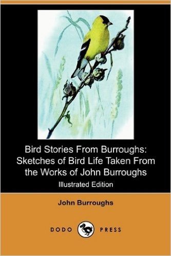 Bird Stories from Burroughs: Sketches of Bird Life Taken from the Works of John Burroughs (Illustrated Edition) (Dodo Press)
