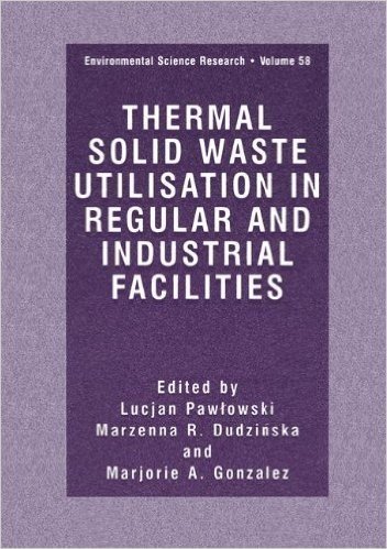 Thermal Solid Waste Utilisation in Regular and Industrial Facilities (Environmental Science Research)