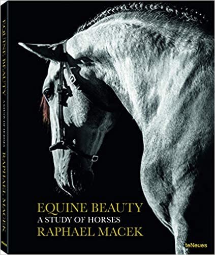 Equine Beauty: A Study of Horses - Small Edition (PHOTOGRAPHY)