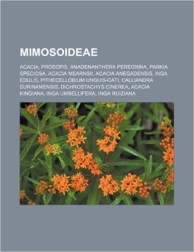 Mimosoideae: Acacia, Prosopis, Anadenanthera Peregrina, Parkia Speciosa, Acacia Mearnsii, Acacia Anegadensis, Inga Edulis baixar