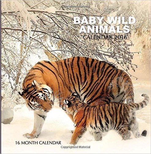 Baby Wild Animals Calendar 2016: 16 Month Calendar