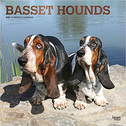 Basset Hounds - Bassets 2021 - 18-Monatskalender: Original BrownTrout-Kalender, mit freier DogDays-App