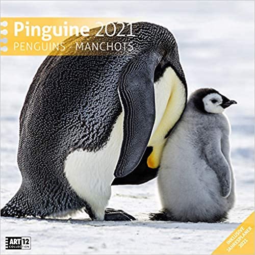 Pinguine 2021 Broschürenkalender