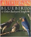 Bluebirds & Other Backyard Songbirds