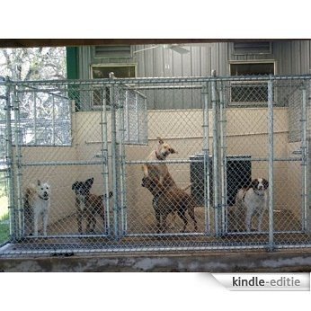 Dog Boarding Kennel Facility Start Up Business Plan NEW! (English Edition) [Kindle-editie]