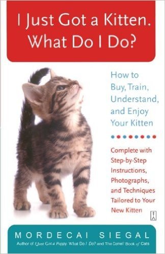 I Just Got a Kitten. What Do I Do?: How to Buy, Train, Understand, and Enjoy Your Kitten