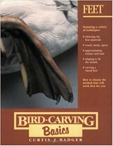 Bird Carving Basics: 002