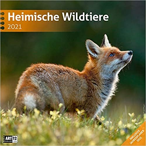 Heimische Wildtiere 2021 Broschürenkalender