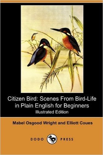 Citizen Bird: Scenes from Bird-Life in Plain English for Beginners (Illustrated Edition) (Dodo Press)