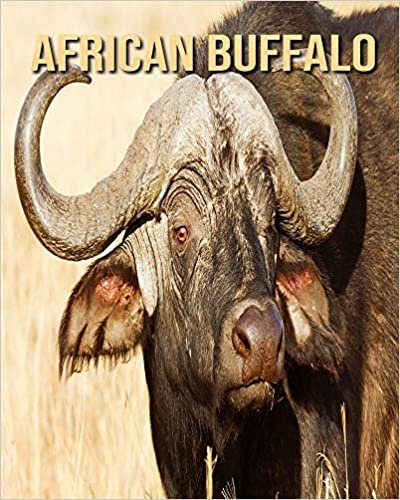African buffalo: Amazing Pictures & Fun Facts on Animals in Nature