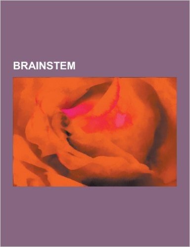 Brainstem: Abducens Nucleus, Accessory Cuneate Nucleus, Anterior Cochlear Nucleus, Apneustic Respirations, Cerebral Crus, Climbin